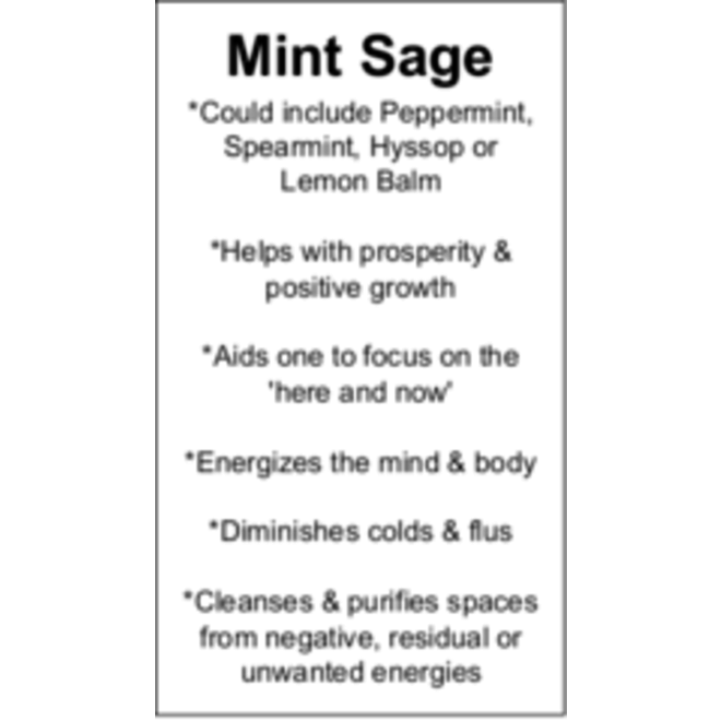 Mint Sage Cards - Box of 100