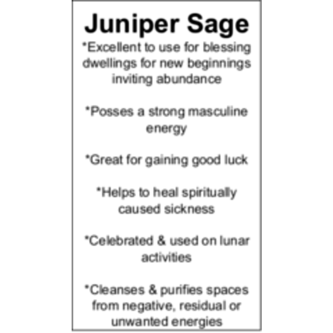 Juniper Sage Cards - Box of 100