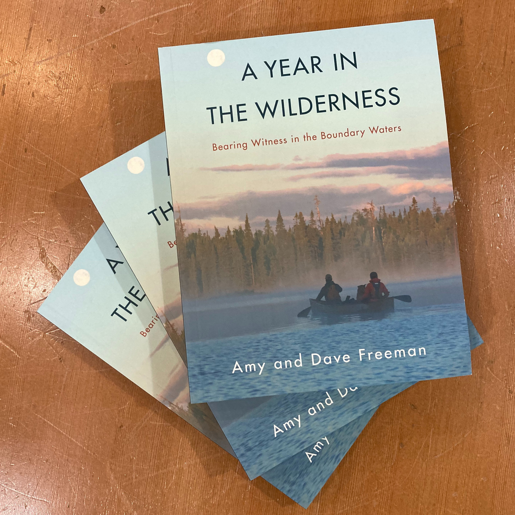 Books A Year in the Wilderness