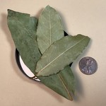 Frontier Bay Leaf (Certified Organic)