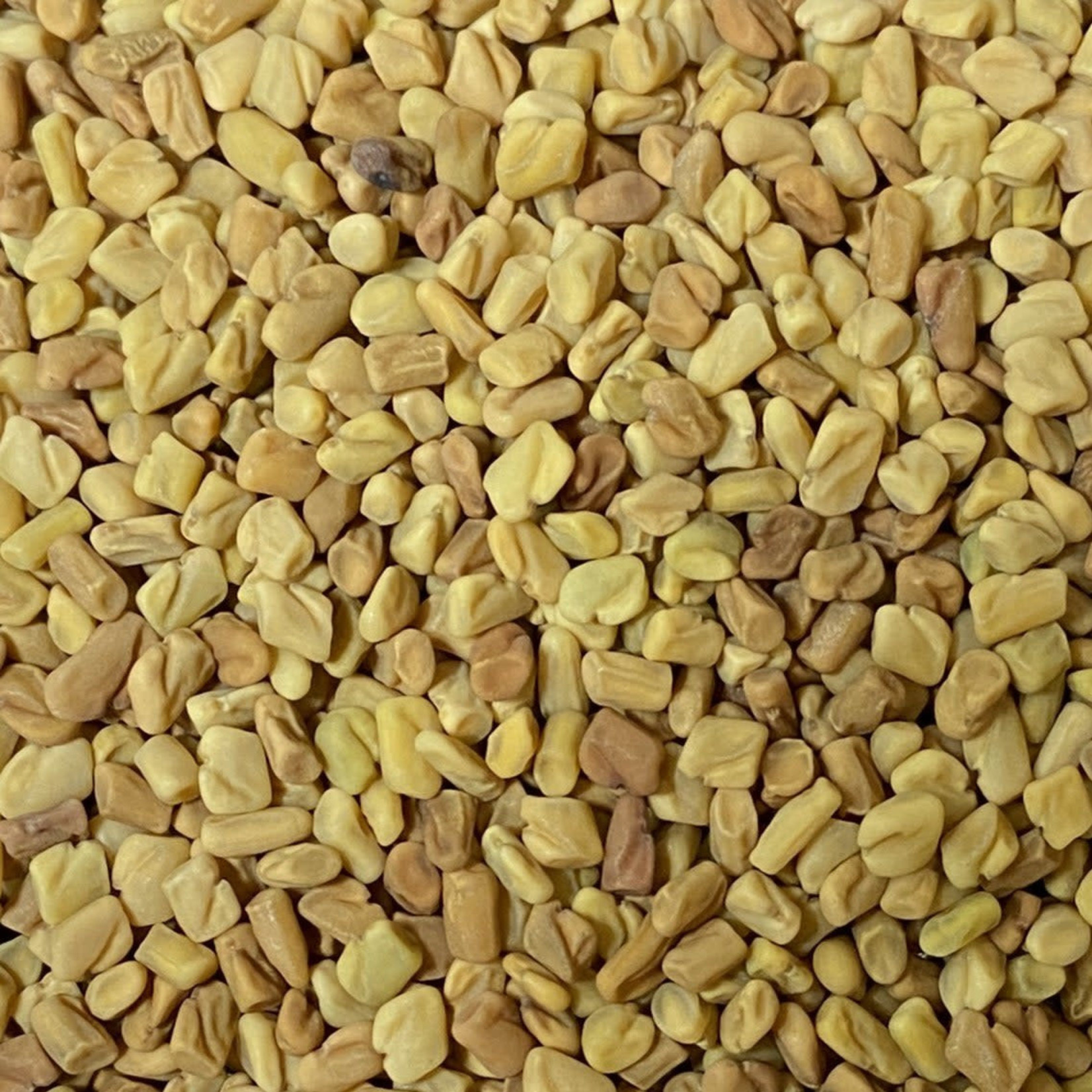 The Herb House Fenugreek Seed, Whole (Certified Organic)
