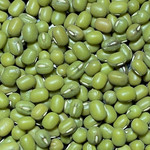 Starwest Mung Bean Seed (Certified Organic)