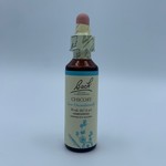 Bach Flower Remedies: Chicory