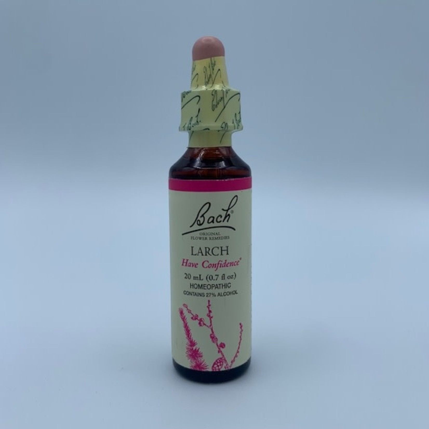 Bach Flower Remedies: Larch