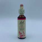 Bach Flower Remedies: Elm "Be Efficient"