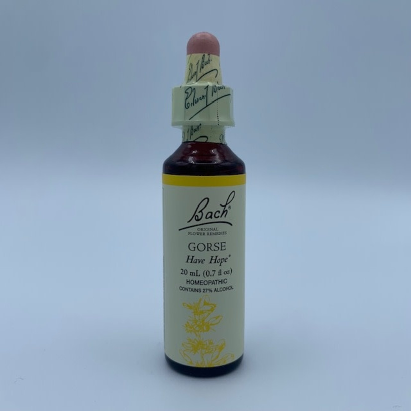 Bach Flower Remedies: Gorse