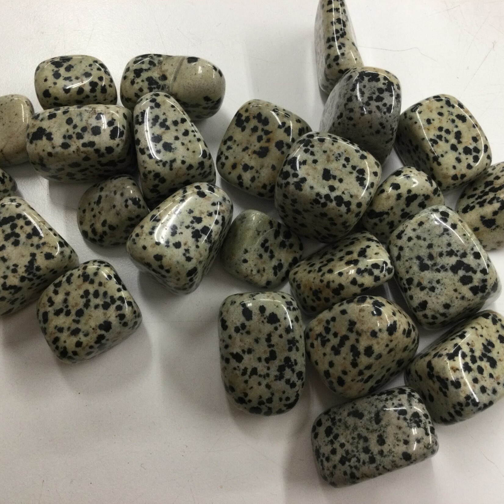 Combo Stones: CarnivalUSA, Gemstone Factory, Etc. Tumble: Dalmatian Jasper