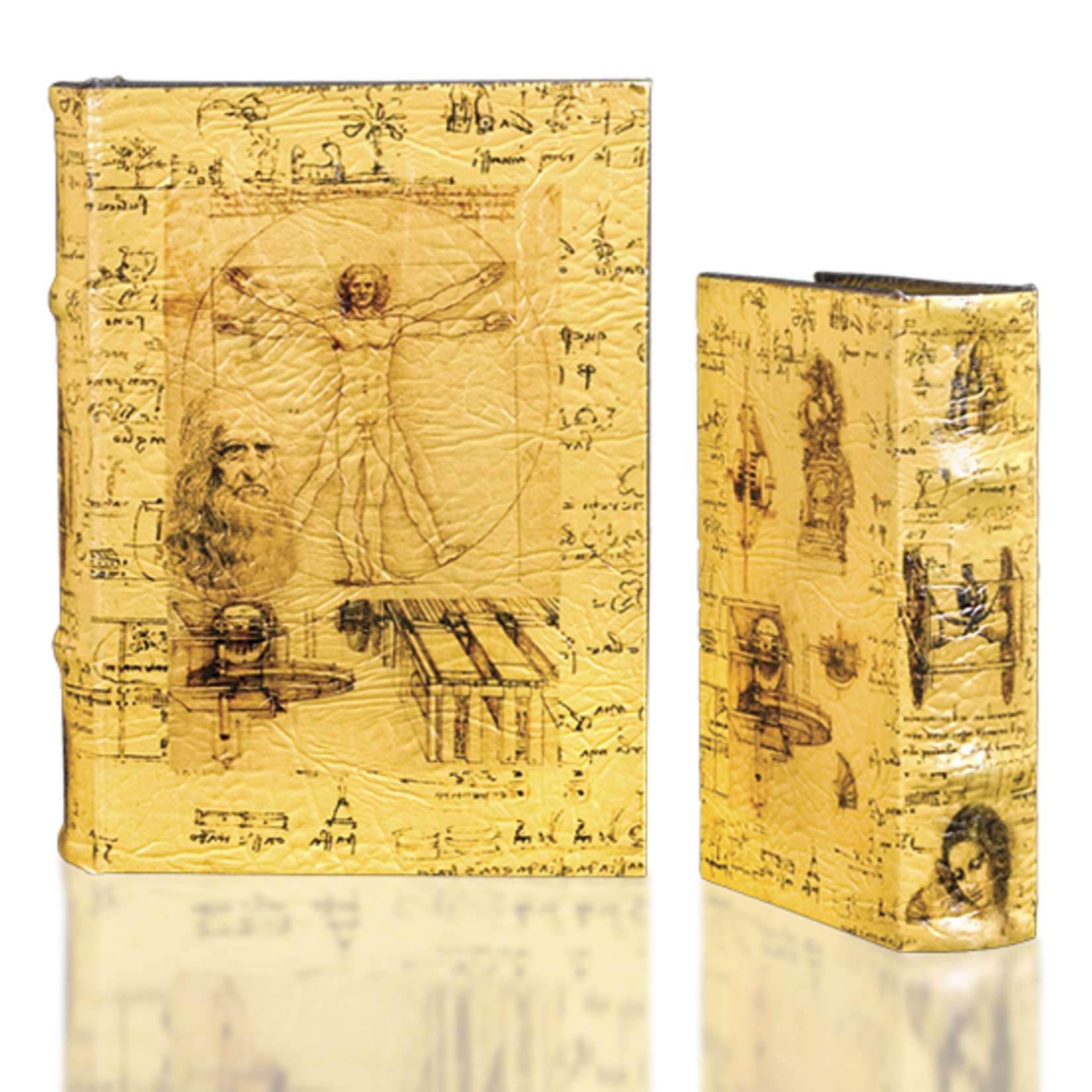 Leonardo Da Vinci Book Box Large