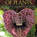 Book, New The Secret Teachings of Plants by Stephen Harrodsburg Buhner