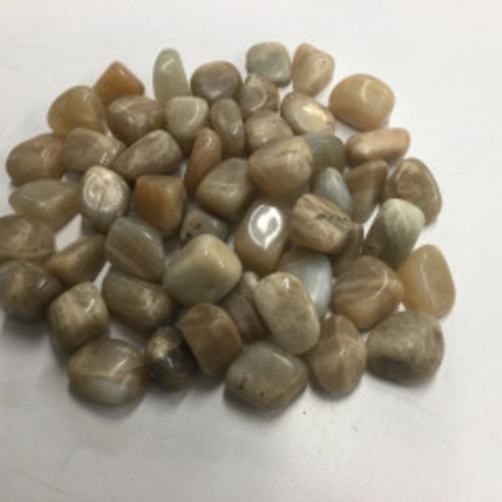 Stones Tumble: Moonstone (Regular), Lg