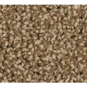 15880 Shaw Charger Carpet Roll 204 Sq Ft