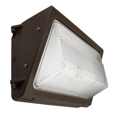 20003 NaturaLED Wall Pack Light