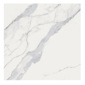 24778 Style Selections Calcatta White Marble Tile