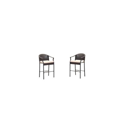 28820 2-Piece Bronze Wicker Patio Chair Set