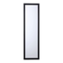 29724 Style Selections Door Mirror