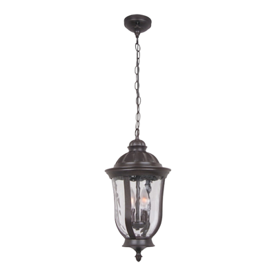 31000 Craftmade Outdoor Hanging Pendant Light