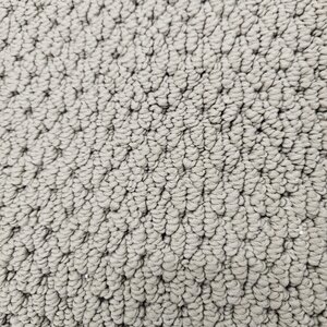 31067 1080-Sq Ft. Residential Carpet Roll