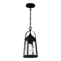 32489 Quoizel Outdoor Hanging Pendant Light