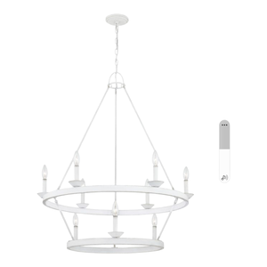 32920 Quoizel Indoor/Outdoor Chandelier