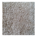 33721 Shaw Residential Carpet Roll