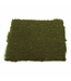 33784 Commercial Short Trim Carpet