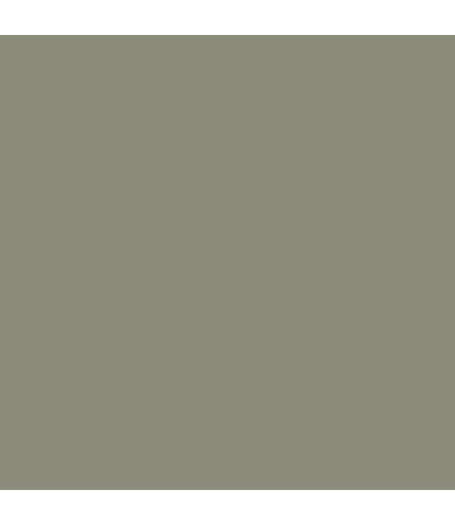 Green Sheen Paint Sage