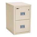34369 Fireking Turtle Safe 2 Drawer File Cabinet