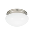 35369 Generation Lighting Flush Mount Seagull Webster