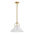 35944 Kernen McGee Pendant Light