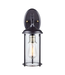 36140 Transglobe Outdoor Wall Lantern/Sconce