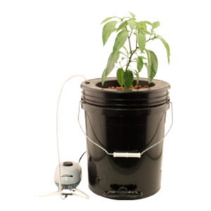 36202 Flo-N-Gro Gro Momma Bubbler Bucket with Air Pump