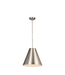 36937 Allen + Roth Medium Pendant Light