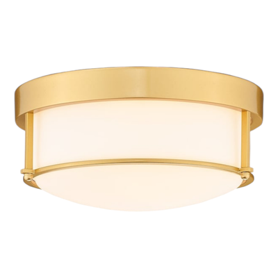 37470 Jazava 2-Light Brushed Gold LED Flush Mount Light