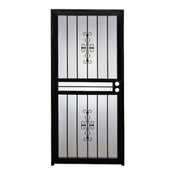 37721 Gatehouse Black Security Door with Glass 29"W