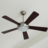 Ceiling Fans