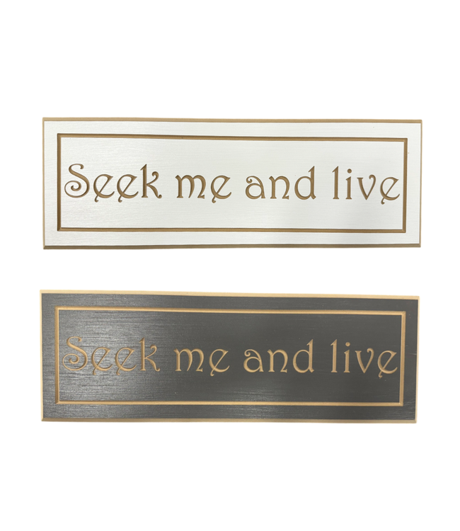 Buddy Board - Seek Me and Live