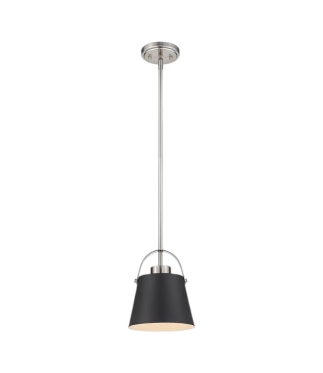 41780 Z-Lite Black & Brushed Nickel Pendant Light
