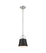41780 Z-Lite Black & Brushed Nickel Pendant Light