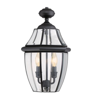 41829 Portfolio Brayden 2-Light Outdoor Hanging Pendant Light