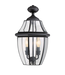 41829 Portfolio Brayden 2-Light Outdoor Hanging Pendant Light