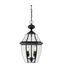 41829 Portfolio Brayden 2-Light Outdoor Hanging Pendant Light