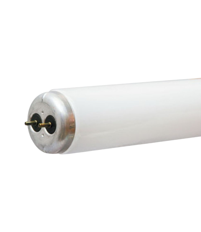 43219 GE Linear Fluorescent Light Bulb 4'ft (6 pack)