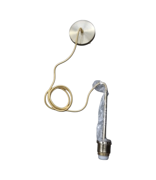 43495 West Elm Brass Sculptural Pendant
