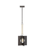 43523 Hinkley Ludlow 1-Light Small Pendant Light
