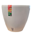 43537 Deco Twin White Self Watering Small Flower Planter