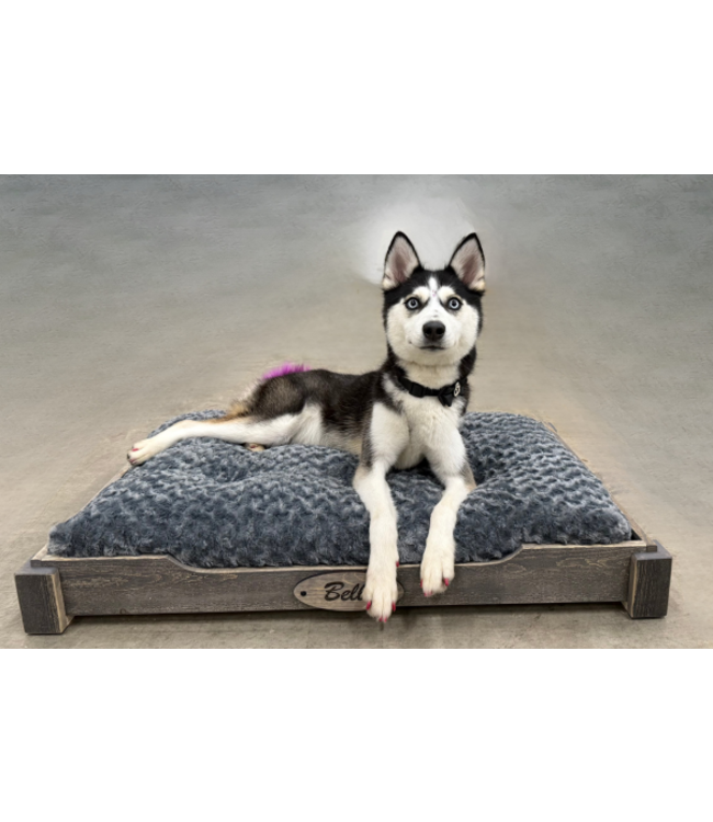2012 Handcrafted Wood Raised Pet Bed - Medium