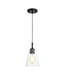 44267 Edvivi Black Mini Pendant Light