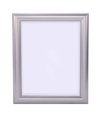 44327 Style Selections 26"W Silver Wall Mirror