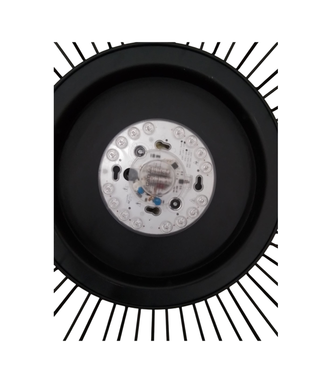 44729 Golden Lighting Matte Black 24" FLush Mount