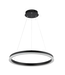 44755 Jonathan Y Baxter 1-Light LED Hoop Pendant Light